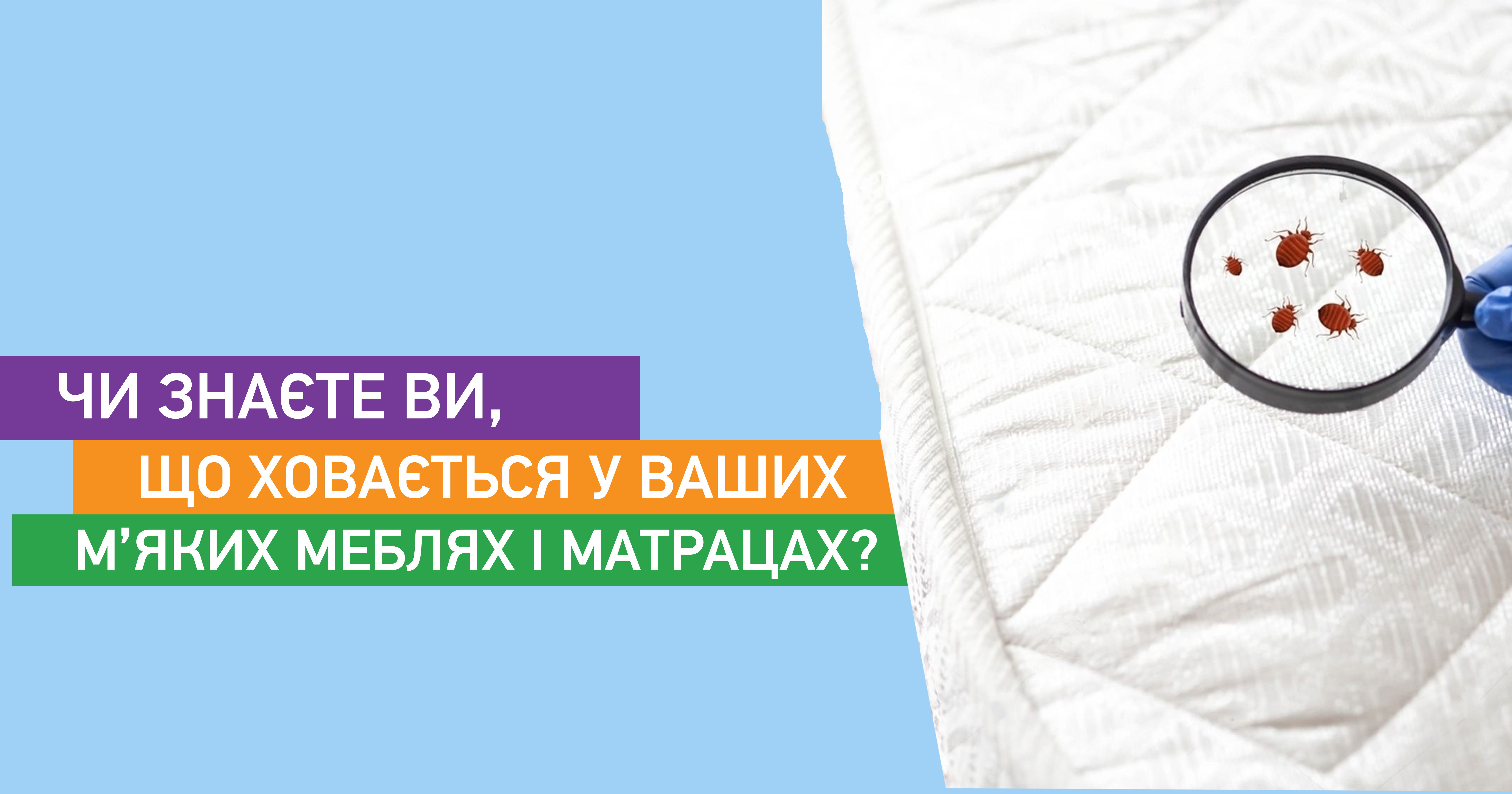 Чи знаєте ви, що ховається у ваших м'яких меблях і матрацах?