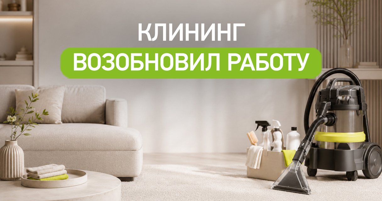 Возобновлено предоставление услуг клининга и чистки мягкой мебели
